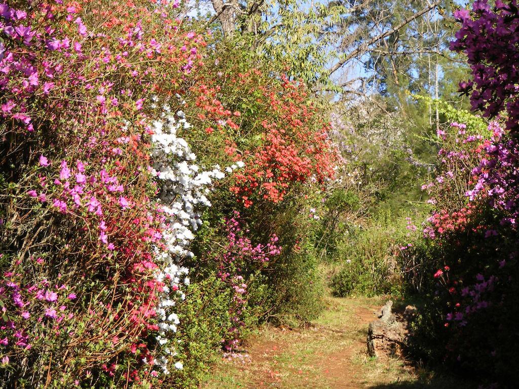 Cheerio Trout Fishing & Holiday Resort Tzaneen Room photo